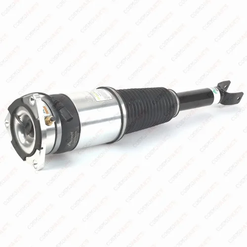 Amortiguador Trasero Izquierdo Arnott AS-3031 Nuevo