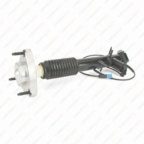 Pata Trasera Arnott SK-3817 Nuevo