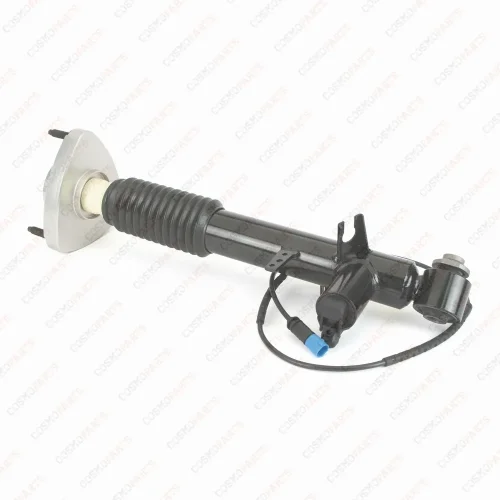 Pata Trasera Arnott SK-3817 Nuevo