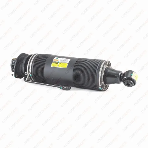 Amortiguador Trasero Izquierdo Arnott SK-2420 ABC AMG Mercedes SL R230 Reacondicionado Reconstruido A2303203113 A2303204713 A230320471380